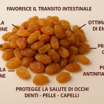 Uva sultanina fa ingrassare: benefici e proprietà nutrizionali