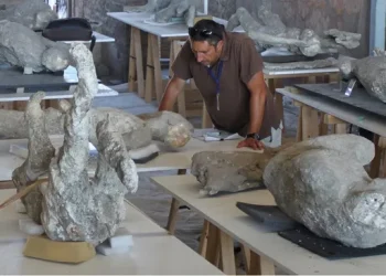 Un archeologo esamina i calchi in gesso delle vittime nel laboratorio, uno studio chiave per capire perché gli abitanti di Pompei indossavano lana nel giorno dell’eruzione.
